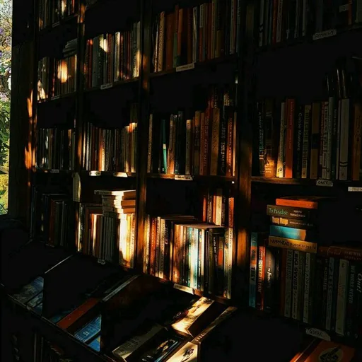 Reading is hot📚📖🍂🍂