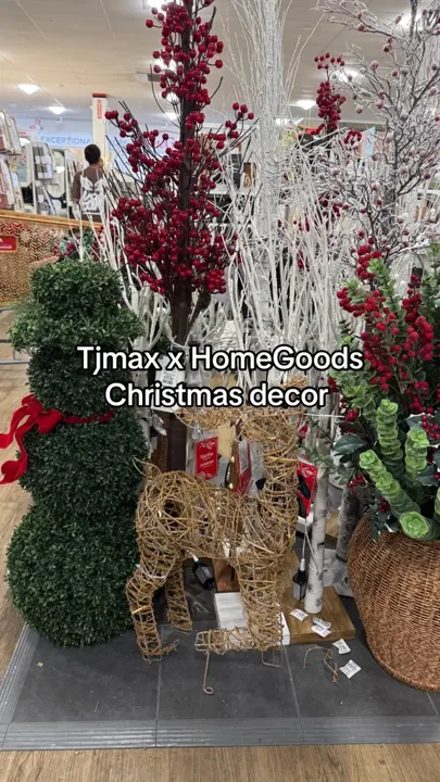 Have you started your Christmas shopping or decorating yet? 🎄 TJMaxx a