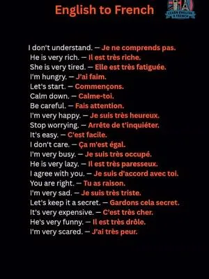 Save this video so you don't forget these essential French phrases! 🇫🇷