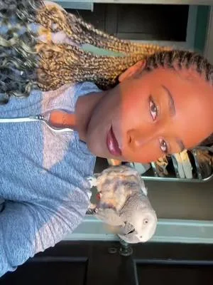 🐥🐥