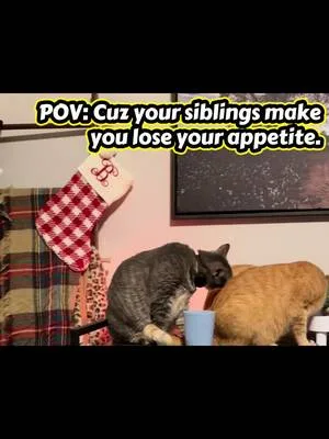 Cuz some times your siblings make you lose you appatite!#KevinKourtney