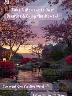 Here is Your Moment to Just Breathe 🪷 #positivevibes #justbreathe #hap