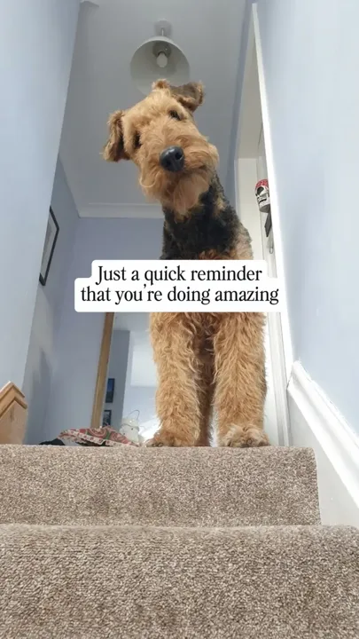 #howtogoviralontiktok #smallcreator #newtiktok #newtiktoker