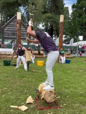 2 man combination Royal Welsh show  #royalwelsh #timbersports #woodcho