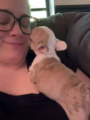 POV: You said you weren’t keeping another one… 🫠🐾 This is why raising