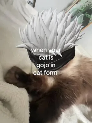 im here to save you  #cat #gojousatoru #famous #anime #siamesecat