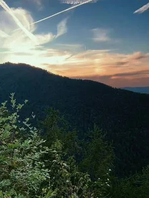 #peak