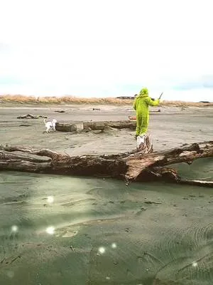 #thegrinch #oceanshoreswa #washingtonbeaches #washingtonstate #puppylo