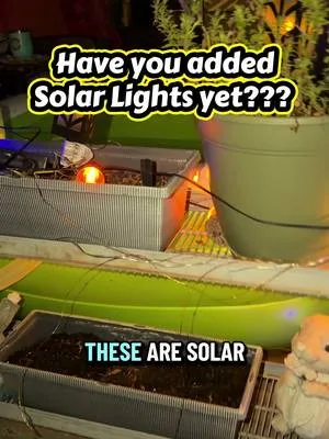 Sunny spot? Add solar lights!! 💡Solar panels and the Sun a an incredib