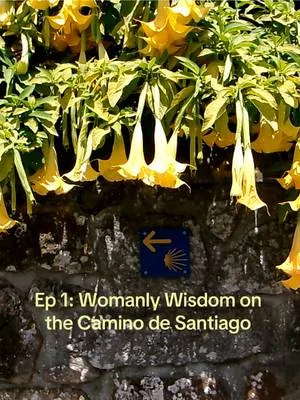Episode 1 of my Womanly Wisdom series💛💛🌟🌟 Saskia and I became friends