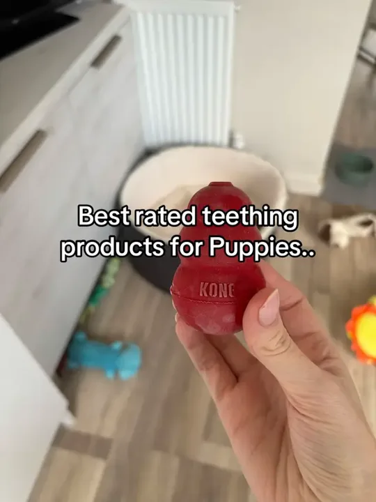 These were all purchased at @PetsAtHome available in most stores and p