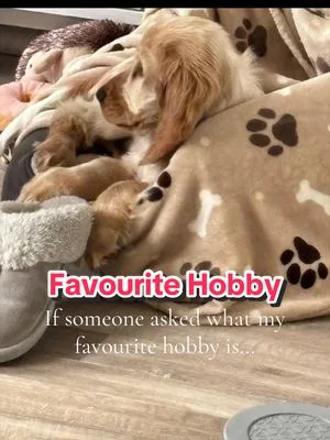 One paw on the slipper at all times 🤣 #funnydogvideos #cutepuppyvideos