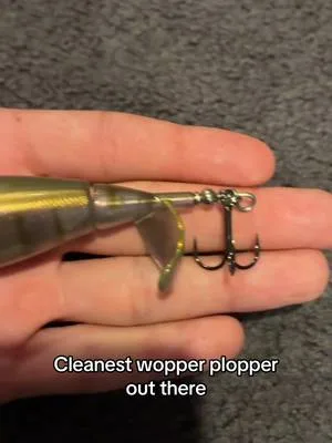#fishing #fishingvideos #fishtok  one of 3 I have and the cleanest 🫪