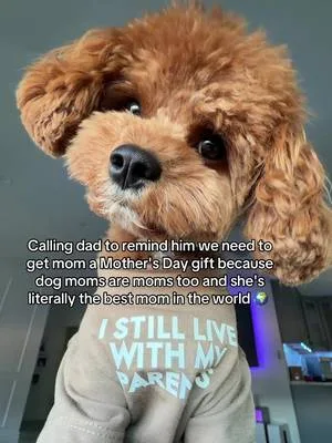 We need to get her a Mother’s Day treat because she really deserves it
