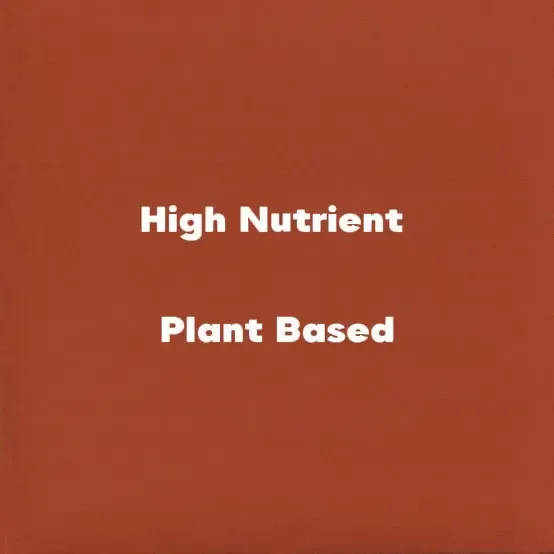 Plant-based eating doesn’t have to be complicated. It’s all about choo