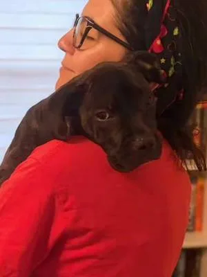A dog is not a baby? The evidence says otherwise. 👶🐾👑 #PitBullSoftTikT