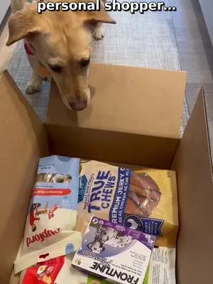 My dog expects a tasting menu everyday! 🦴 🍖                    What’s