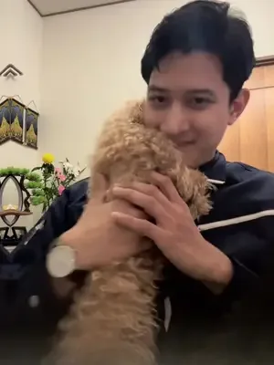 #pet #petlover#creatorsearchinsights #ဂျပန်ရောက်မြန်မာများ #trendingvi