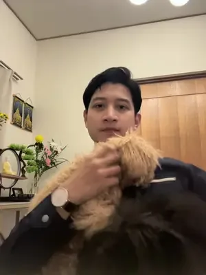 2 love #creatorsearchinsights #trendingvideo #pet #petlover #ဂျပန်ရောက