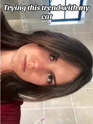 #creatorsearchinsights #50kviewstiktok #catsoftiktok #cats #transition
