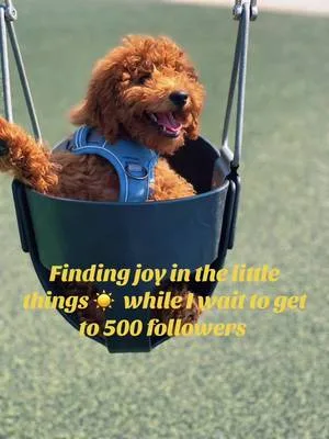 Just a baby doing baby things 🧸☀️#sun #park #cuteanimals #fyp #abcxyz