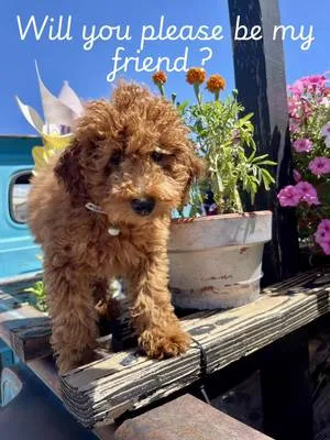 Watch on TikTok