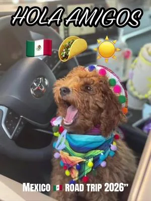Roadtrip reveal 🚗 🇲🇽 #creatorsearchinsights #chihuahuamexico #roadtrip