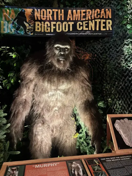 Is Bigfoot really out there? 👣🌲 We stopped by the North American Bigfo