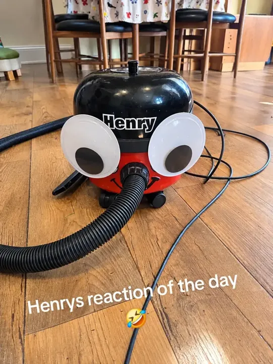 #henryhoover #myhenry  @MyHenry UK ❤️