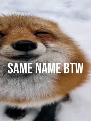 @Sweetie Fox #SWEETIEFOX#EDIT#FYP#CAPCUT#FOX