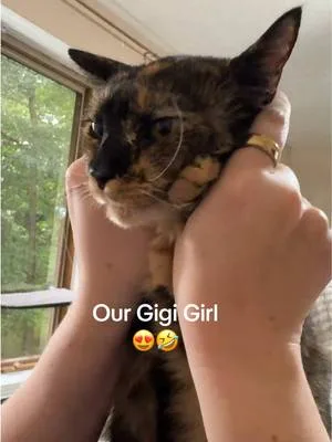 She’s so special 😍 #catsoftiktok #catlover #funnycat #wlw #cattok