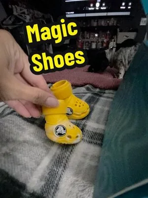 Sport Mode Activated! 😂 #crocs #dogsoftiktok  #fyp #viralvideo  #foryo