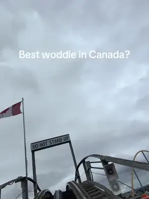 #canadaswonderland #coastertok #rollercoaster #ride #pov