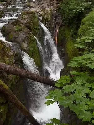 Gotta love a good nature walk with a waterfall ✨ #waterfall #nature #m