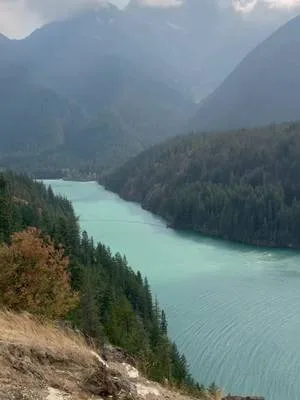 By far one of the most beautiful things I have ever seen! Sitting on a