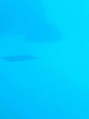 Watch on TikTok