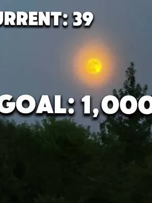 39 → 1,000 🤍 Starting before I feel ready and seeing where this takes