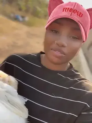 Seen a pretty poultry farmer today ? #creatorsearchinsights #cluckvill