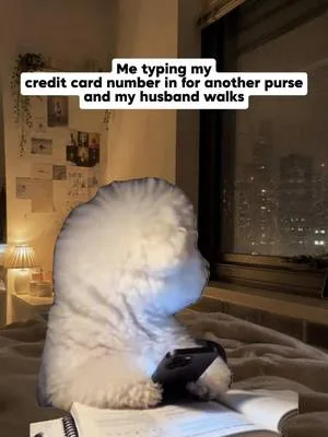 Smart Financial decisions were made 😭 #fyp #pursetok #trending