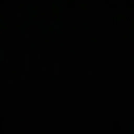 𖣂︎