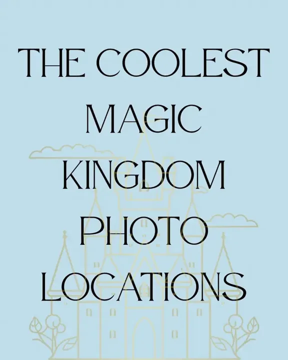 Magic Kingdom is one of the busiest parks with absolutely stunning des