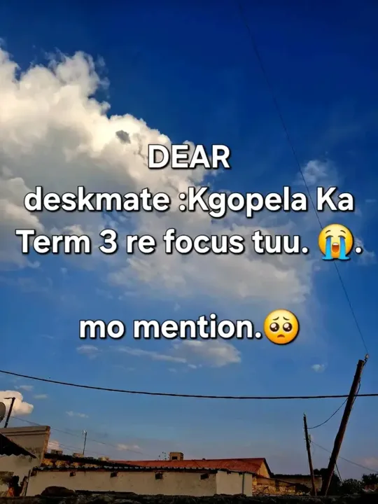 🤣🤣🤣