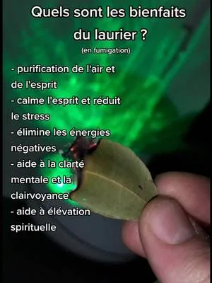 Ça peut aider quand on est à court d'encens ☺️🍃 #witchtok #witchcraft