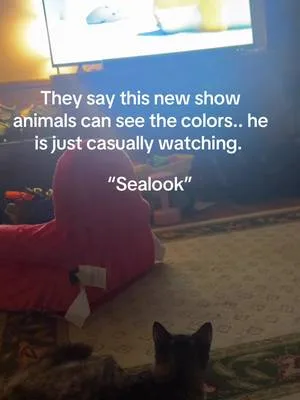 #sealook #catsoftiktok #fyp