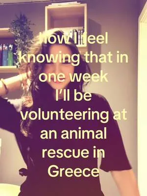 For all the animal lovers out there 🩷 #animalrescue #shelter #dog #cat
