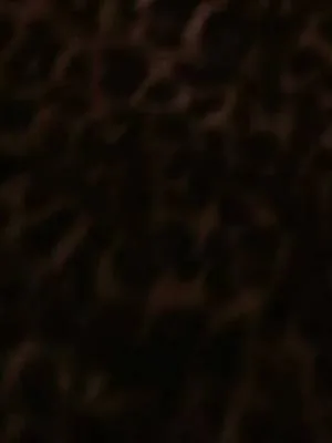 #fyp #xyzbca #viral #blowup #lipsync