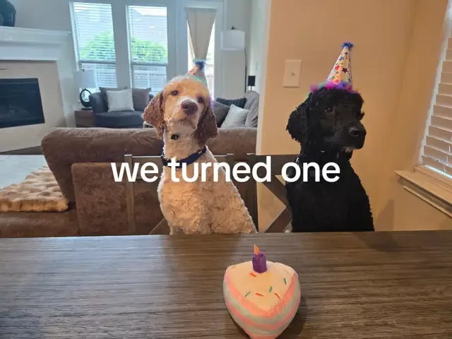 Watch on TikTok