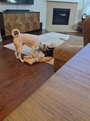 Sometimes I think they forget I am watching them.