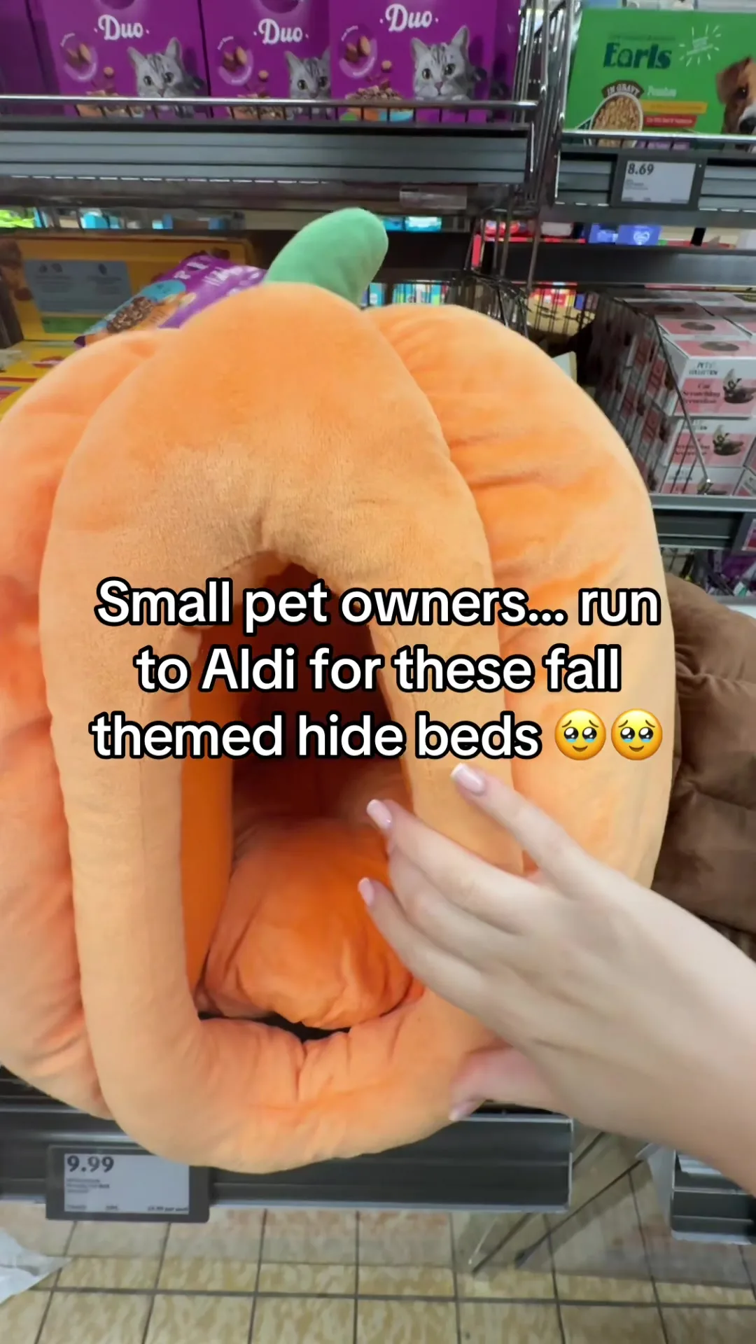What a find … small pet autumn themed beds in @Aldi UK run don’t walk