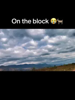 #fypシ #viral #countryside #relatable